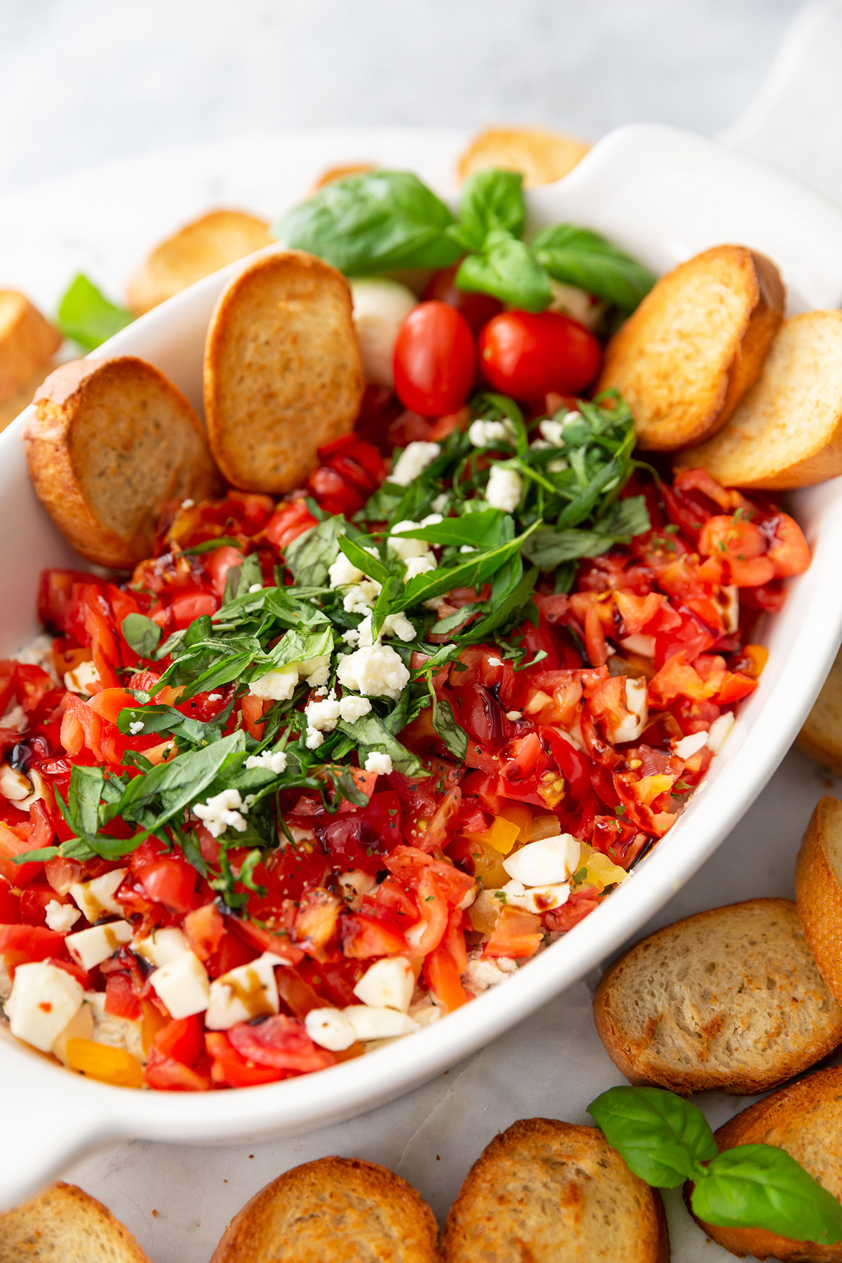 Tomato Mozzarella Dip with Crostini