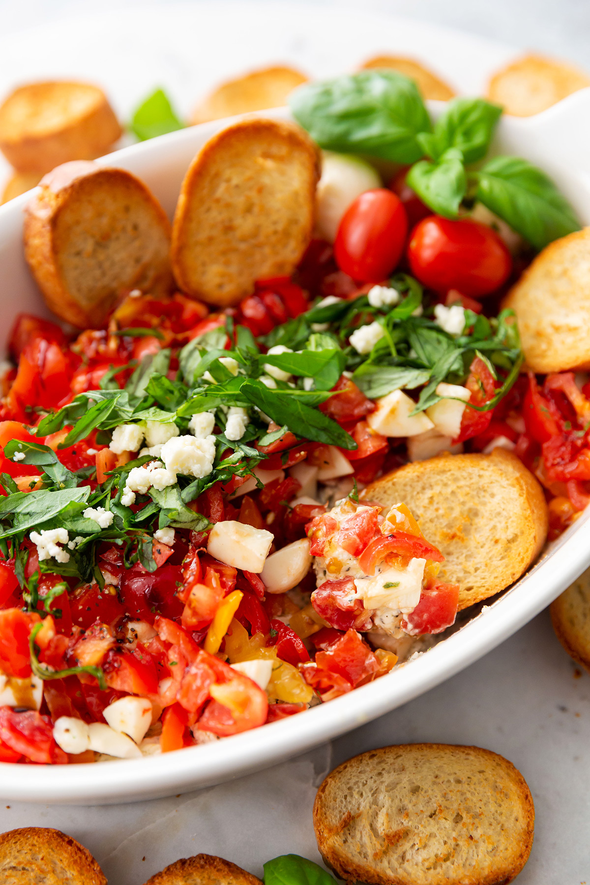 Cold Caprese Dip with Tomatoes, Mozzarella & Basil - Best Appetizers