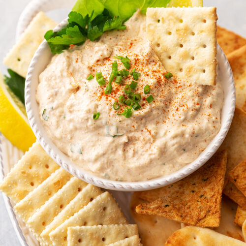 The Best Smoked Tuna Dip Appetizers