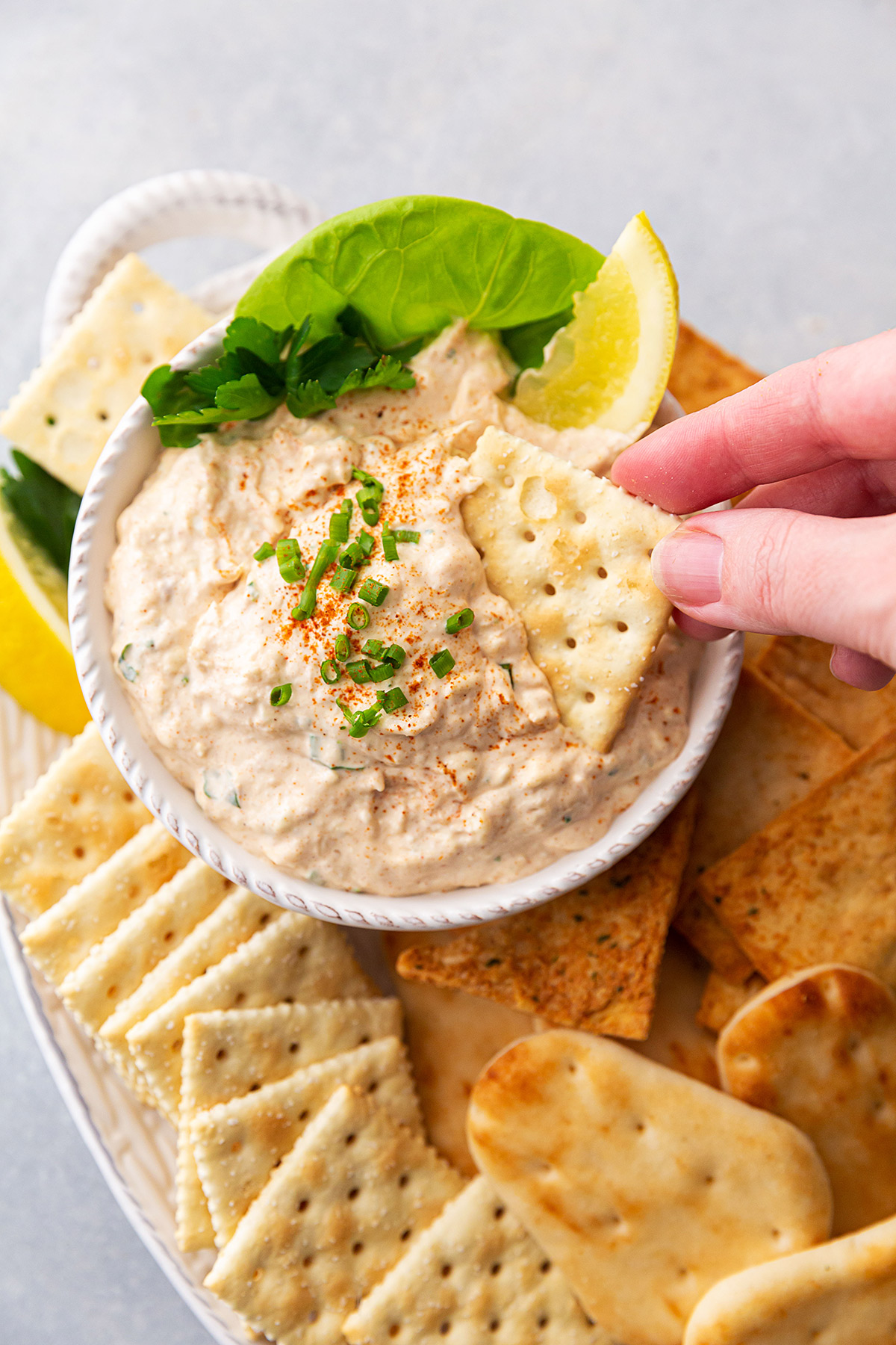 The Best Smoked Tuna Dip - Best Appetizers