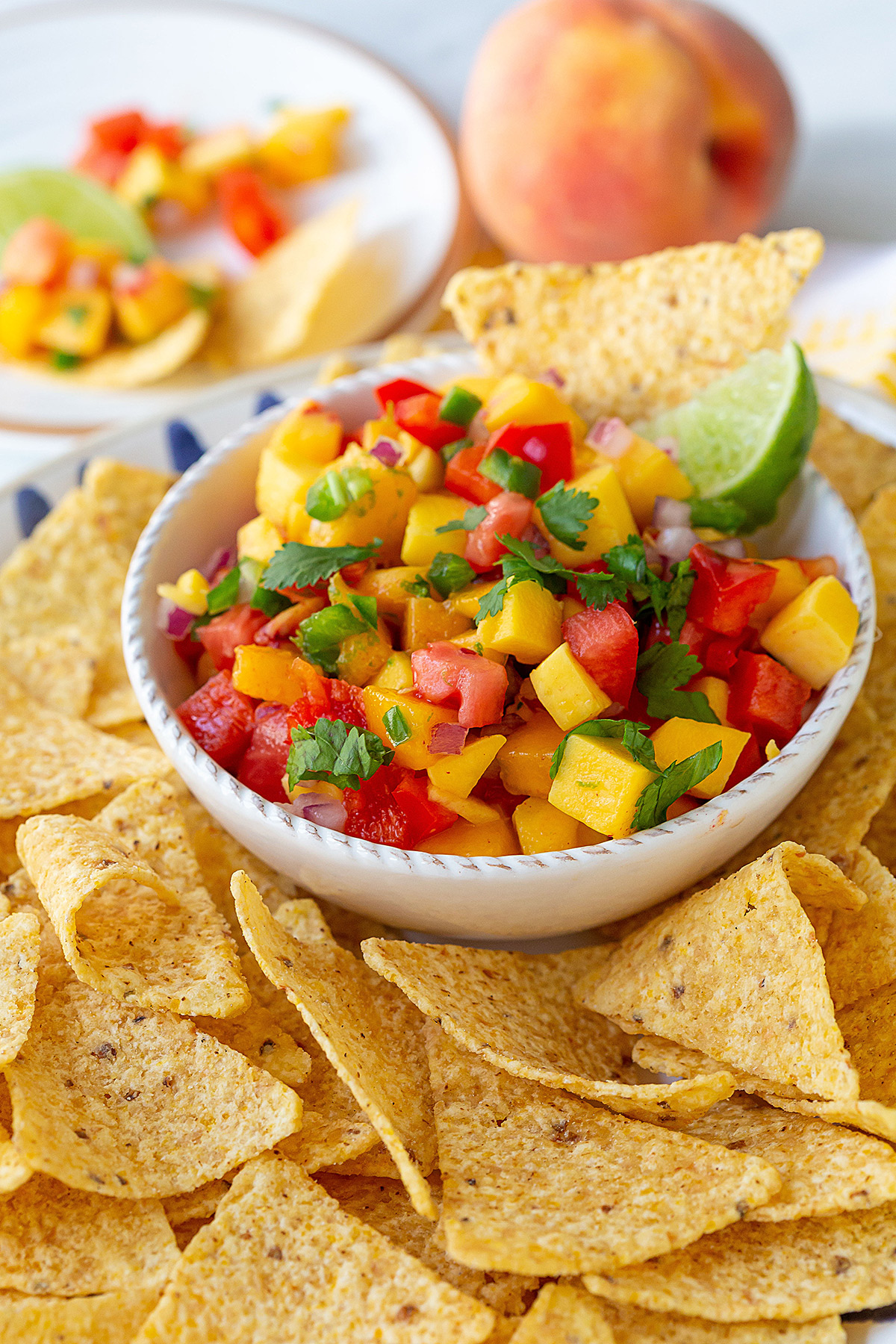 Peach Mango Salsa (Quick Fruit Salsa!) - Best Appetizers