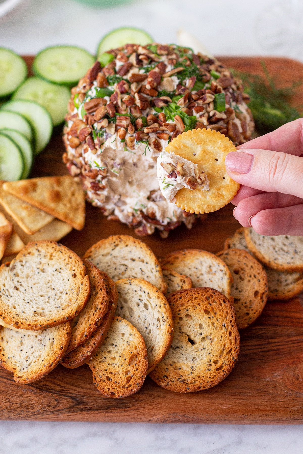 Ham and Cheese Cheese Ball (Easy Party Recipe) - Cup of Zest